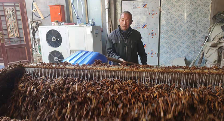 高效節能 高效節能